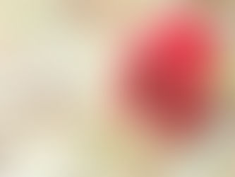 Metro Vancouver Market Highlights - Feb 2024