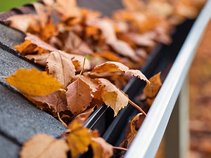 British House Gutter full of leaves.jpg