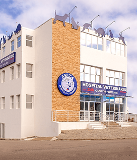 fachada_ariza_2.png