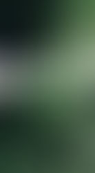 Far Away Connections