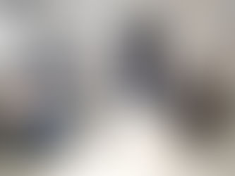 FIM DO RECESSO PARLAMENTAR DE JANEIRO