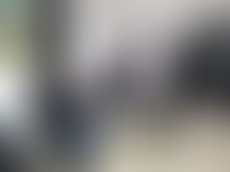 ASSESSOR RAFAEL VIGNE VISITOU A CÂMARA DE VEREADORES