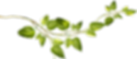ВЕТКИ (134).png