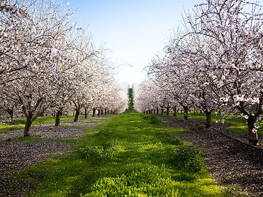 Alldrin Orchards-45_websize.jpg