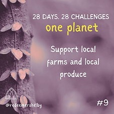 Copy of creation challenge 9 (1).png