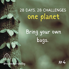 Copy of Copy of creation challenge 4.png