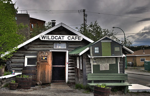 wildcat-cafe-71944_1280.jpg