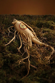 ginseng-1848303_640.jpg