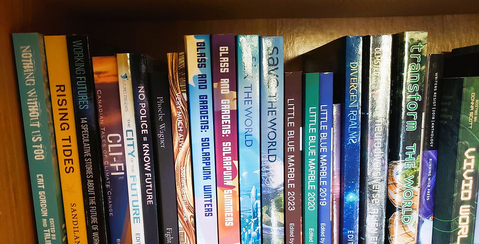 Shelf of Books