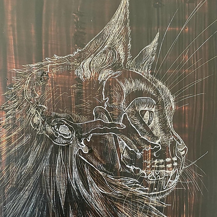 cat etching hard ground