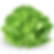 Beyond Organic Butterhead Lettuce 