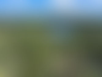 Welcome to Friends of Ken Lake!