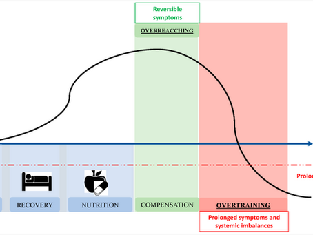 Burnout in Endurance Sports Why It Happens and How to Avoid It