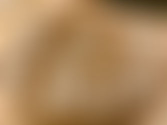 Dinkel-Vollkorn-Joghurt-Brot