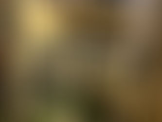 HOF-Molkerei Hölzl Mitterkirchen ❤️