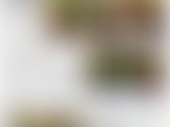 Der Schaumwein für den Erhalt alter Birnensorten
Traunsecco
Tips KW 50 - Hofladenpass