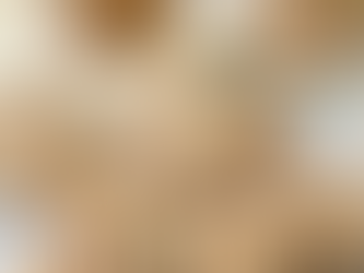 Sesam Cracker (low carb)