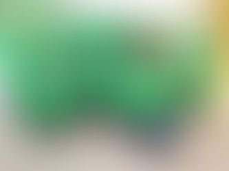 FNZ Linz Süd und eine Geschichte, die das Leben schreibt …
