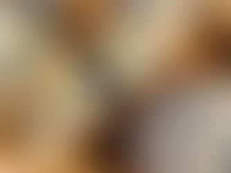 Mohnschnecken & Mohnkronen - aus leichtem Germ(Hefe)Teig nach dem Lehrbuch der Konditoren👌