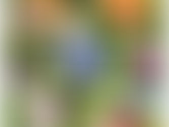 Garten der Geheimnisse