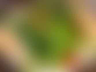 Bodega Tapas Bar Salzburg