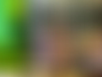 Ein besonderer Tag in der Stadtoase, einem wundervollen Ort des Genusses und der Begegnung, wo Gastfreundschaft, Geschichte und Herzlichkeit spürbar werden!