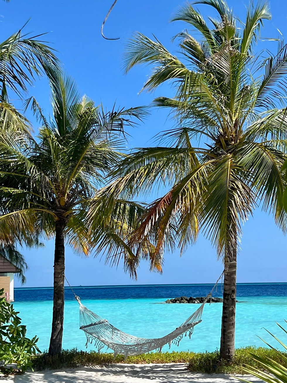 Fushifaru - Maldives, türkisblaues Wasser, angenehme Temperaturen & den Himmel auf Erden 🥰