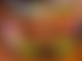 Bellevue am PleschingerSee