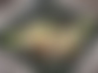 Karibischer Schoko-Ananas Traum ❤️