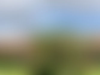 Arusha - Kilimanjaro 🏔