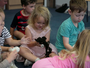 A young girl looking down at sheep's wool she is holding in her hands