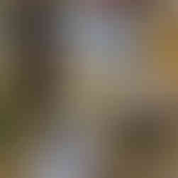 Table set up with pictures of the moon, pebbles and loose parts