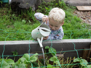 Our Commitment to Sustainability