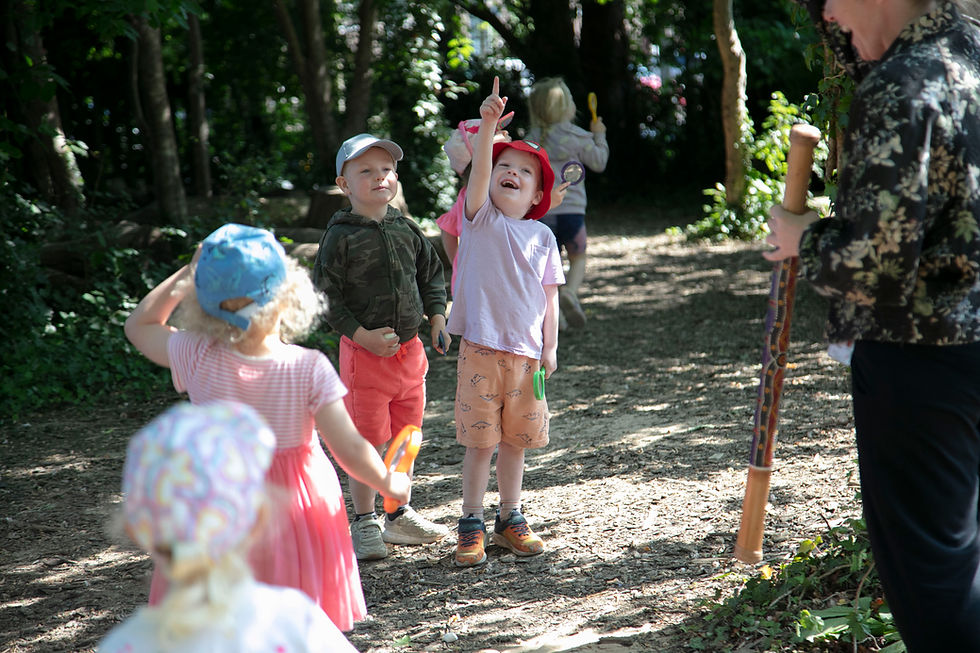 Children looking up into the tress smiling and pointing.