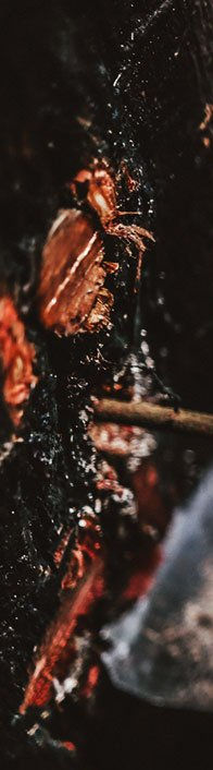 copaíba_extraction_hand natural cosmetics green beauty_.jpeg