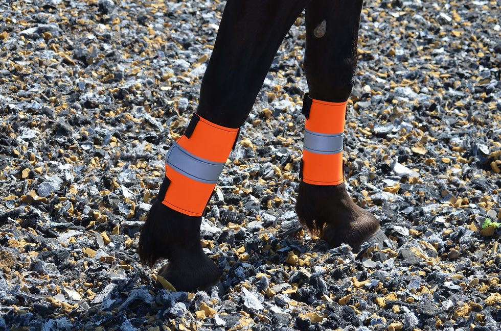 Front Leg Pads / Wraps