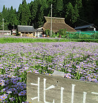 IMG_0181.JPG