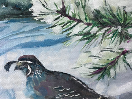 Snow Quail