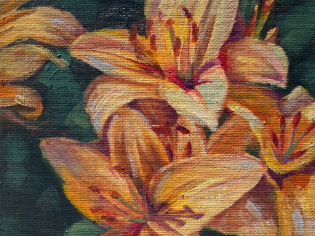 Orange Lily