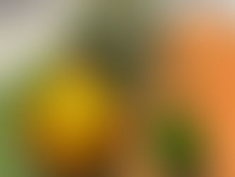 Citrus Still Life