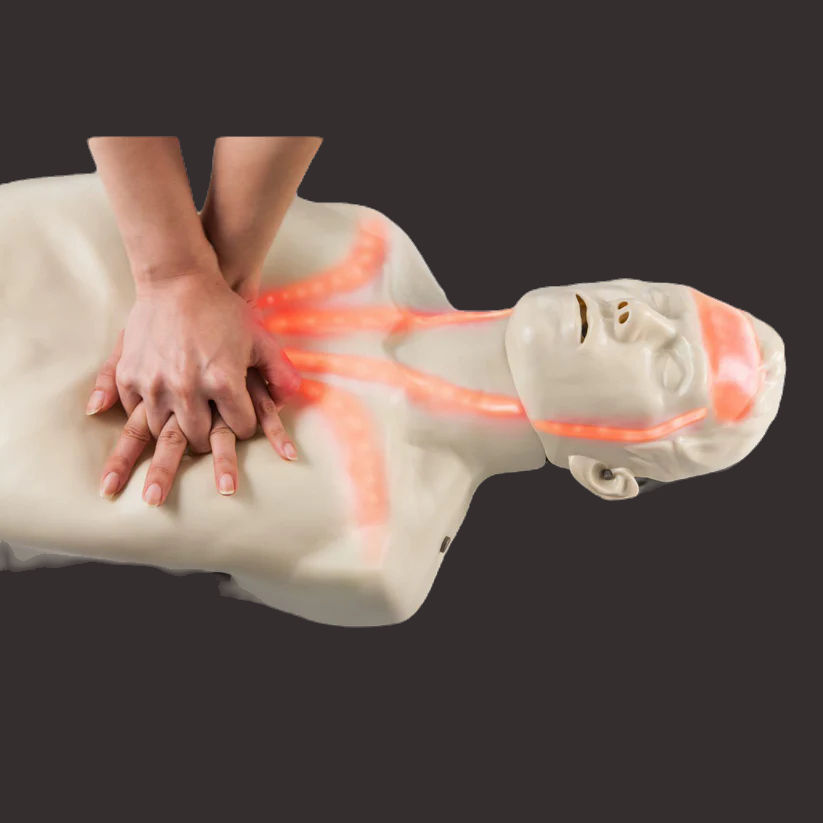 Thumbnail: Brayden Adult Advanced Manikin - Red Light