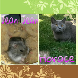 PicsArt_08-11-03.41.52