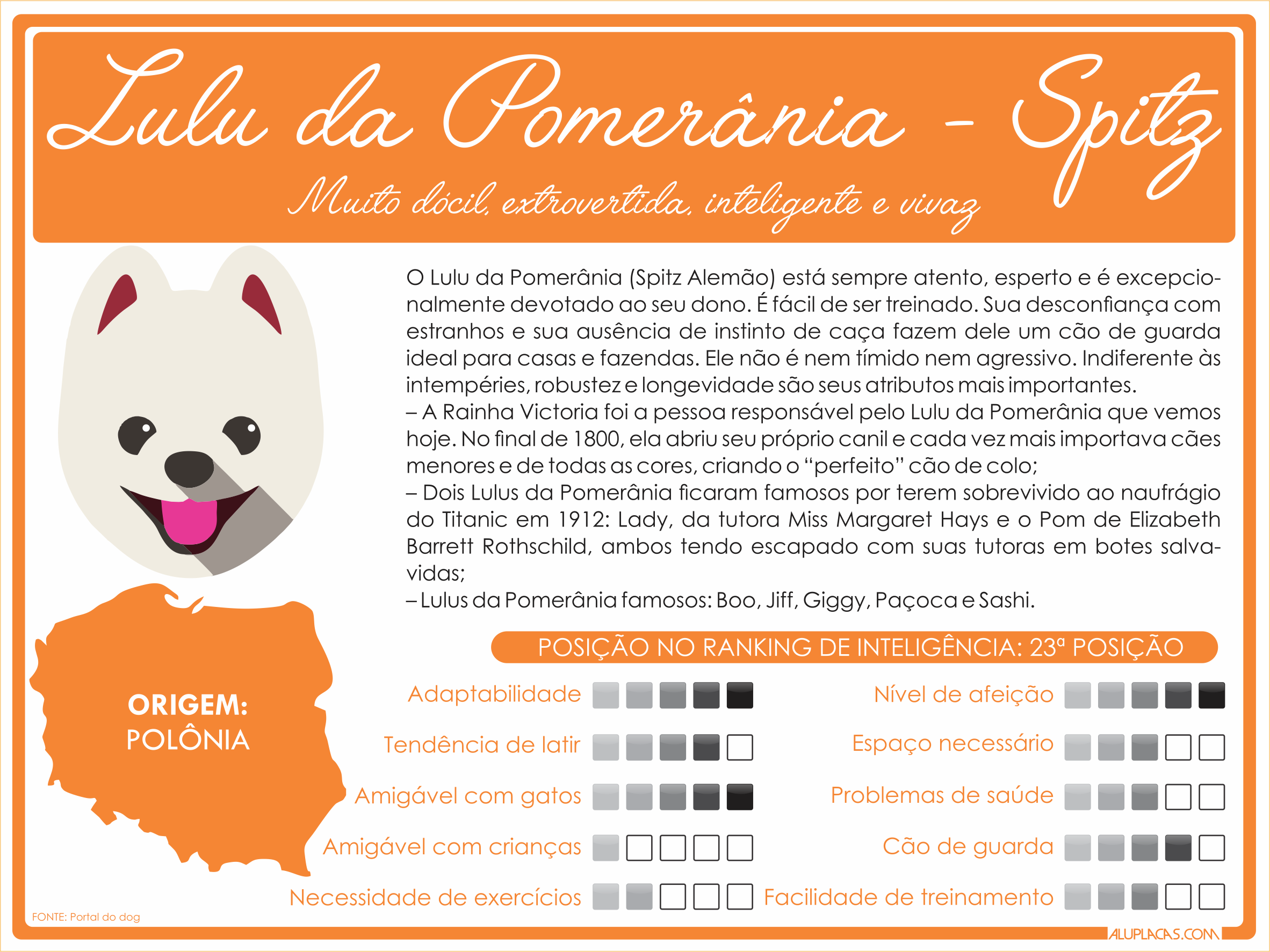 Características Spitz - 20x15cm