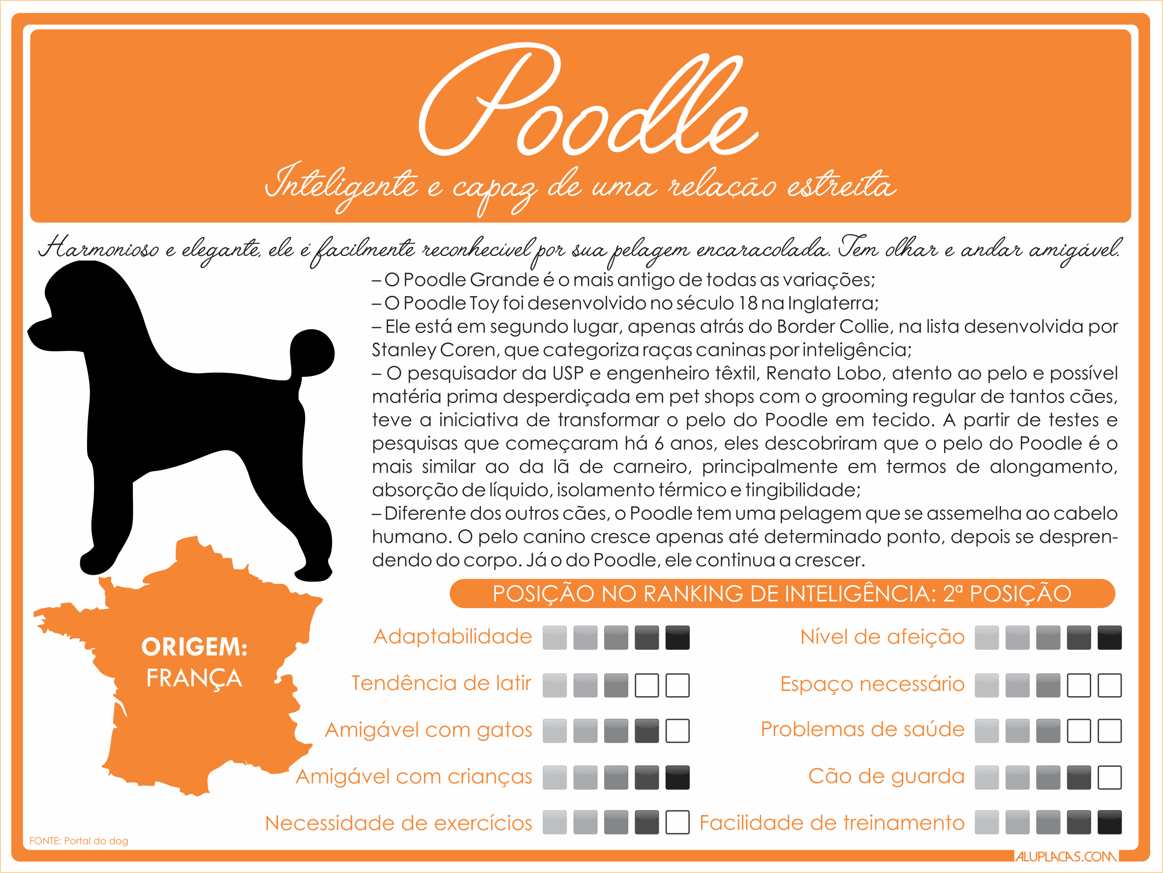 Características Poodle - 20x15cm