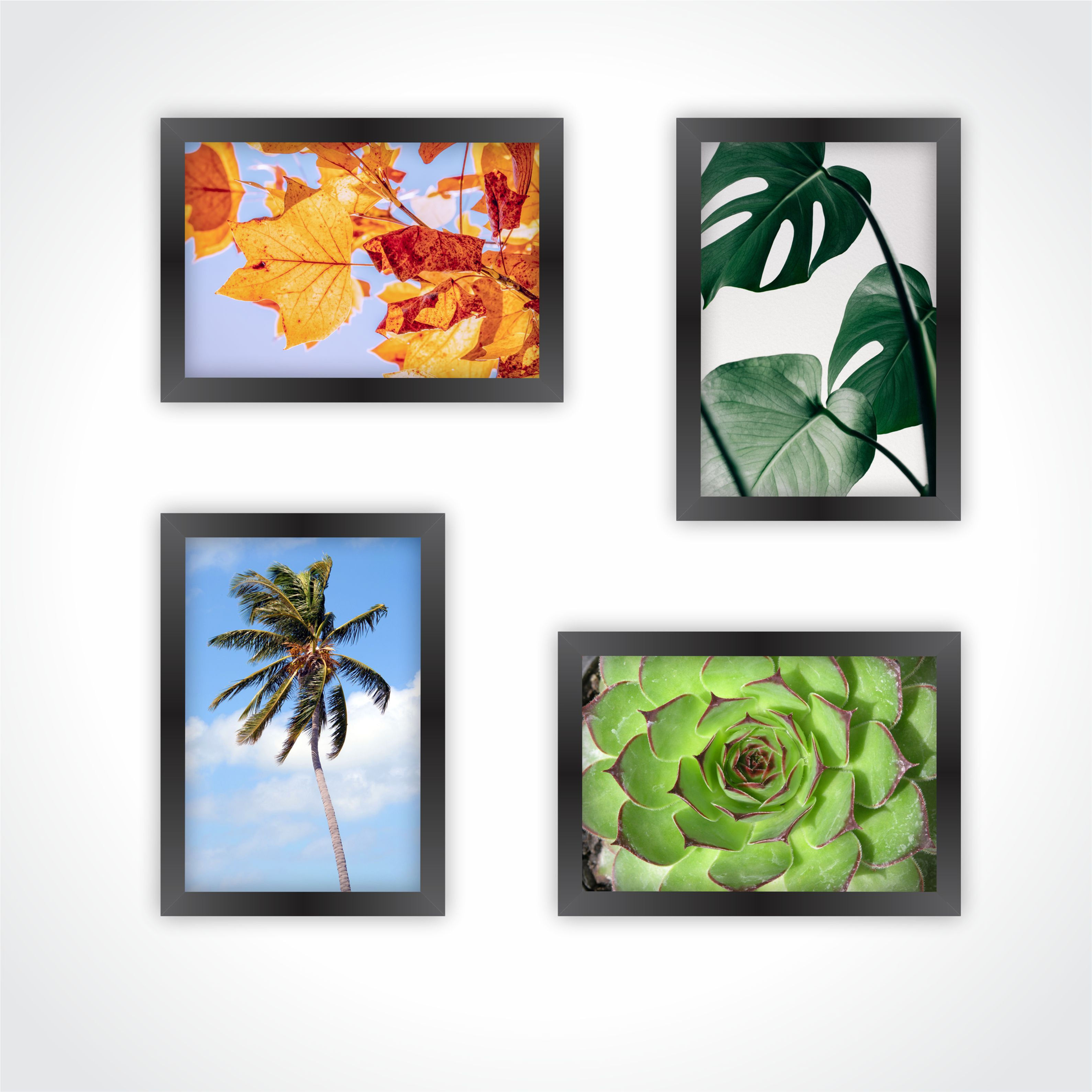 Conjunto de Quadros Decorativos Modernos Vegetação com Moldura
