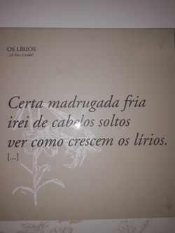 WhatsApp Image 2020-03-28 at 19.45.10