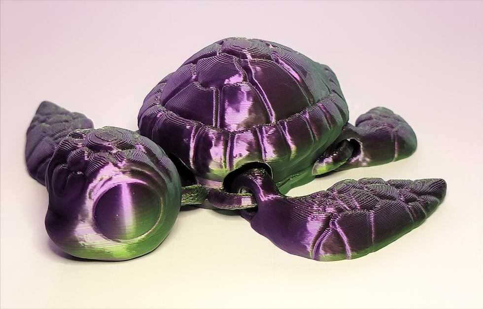 Thumbnail: Seaturtle