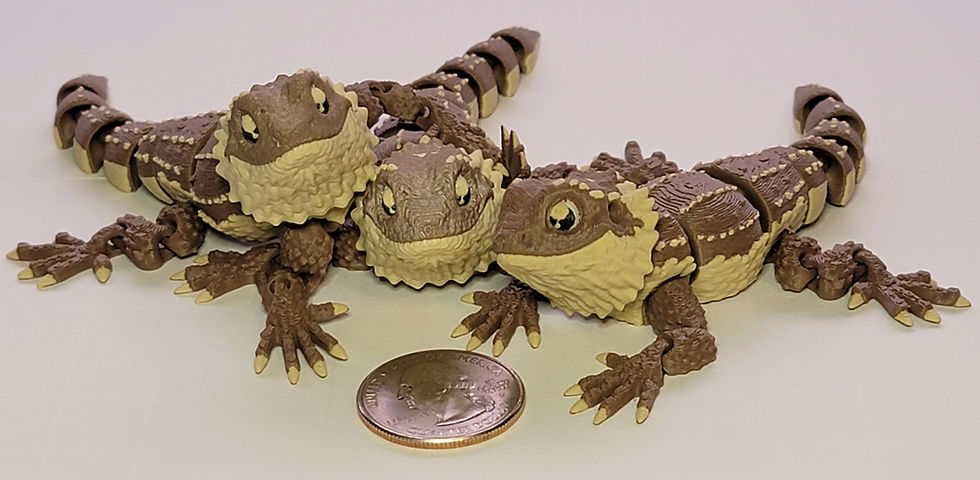 Thumbnail: Bearded Dragon 