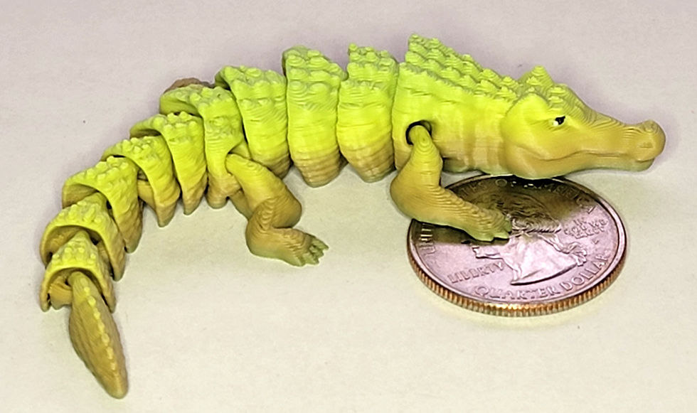 Thumbnail: Baby Crocodile 