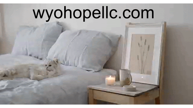 wyoart chat gif.gif